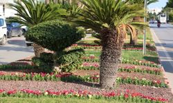 Antalya yaz kış rengarenk