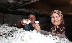 Emekli olunca hobisi ekmek teknesi oldu