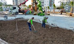 Tarsus Belediyesi, atıl alanı modern parka dönüştürüyor