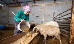 'Hadi Gel Köyümüze Geri Dönelim' projesi bir genci deha üretime kazandırdı