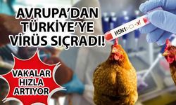 Kuş gribi vakaları hızla artıyor! H5N1 virüsü Avrupa’dan Türkiye’ye sıçradı