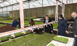 Kaymakam Şahin'den yeni yıl ziyaretleri