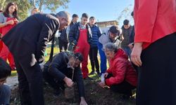 Aksu'da öğrenciler zeytin fidanı dikti