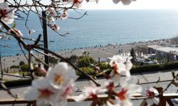 Antalya şubatta baharı yaşadı
