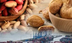 Bakanlık denetim yaptı Antalya’nın gerçek yüzü ortaya çıktı… Okuduklarınıza inanamayacaksınız!