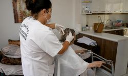 Kuşadası Belediyesi 'Evde Bakım Birimi' büyük titizlikle çalışıyor