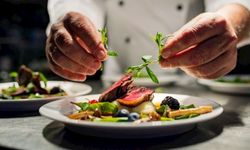 Gastronomi, eğitimle birlikte farklı bir sektör oldu