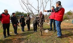 Muğla'da budama eğitimi verildi