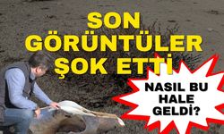 Son görüntüler şok etti… Avlan Gölü’nü görenler inanamadı