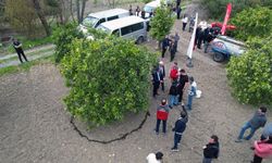 Çiftçilere HÜMAS uygulaması