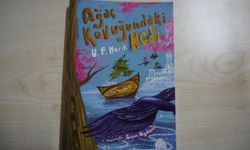 Genç gazeteciden yeni kitap “Ağaç Kovuğundaki Kedi”