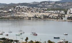 Muğla'da 528 tesis denetlendi, 223'ü kapatıldı
