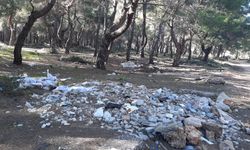 Kepez’in ciğerleri çöplüğe döndü