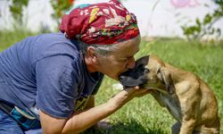 Sahipsiz canlar bayramda ziyaretçilerini bekliyor