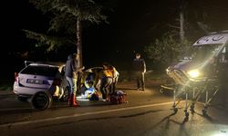Ağaca çarpan otomobildeki doçent hayatını kaybetti, eşi ve oğlu yaralandı