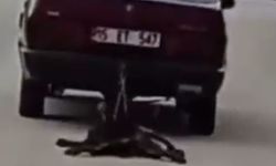 Burdur’da insanlık dışı görüntüler... Köpeği aracın arkasında sürükledi