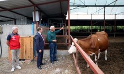 ‘Anneleri Aşılat, Buzağını Yaşat’ projesi eğitim toplantısı Ortaca’da gerçekleştirildi