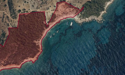 Antalya’yı çölleştirecek ihale… Antalya ‘Orman Park’ adı altında yok edilecek