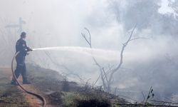 Antalya'da korkutan yangın büyümeden söndürüldü