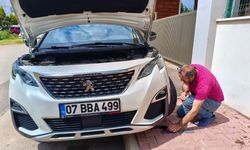 Aracın motoruna giren yavru kedileri telefondan kedi sesi açarak çıkarmaya çalıştılar