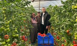 Üreticinin sesini duyan yok mu? Antalya’da kriz büyüyor