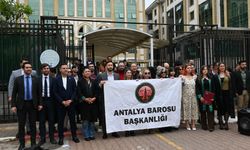 Hayvanları koruma kanundaki değişiklik hayvanlara yönelik şiddeti arttırdı