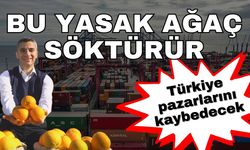 Bu yasak ağaç söktürür… İhracat yasağının detayları belli oldu