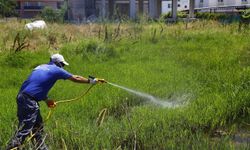 Antalya Büyükşehir Belediyesi’nden vatandaşlara sivrisinek uyarısı