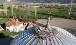 Leylekli cami, cemaatin ilgi odağı oldu