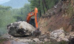 Dev kaya yola düştü, tarım alanları zarar gördü