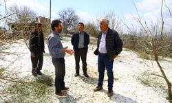 Büyükşehir doludan mağdur olan çiftçiye destek verdi