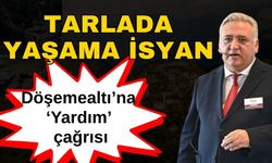Tarlada yaşama isyan… Döşemealtı’na ‘Yardım’ çağrısı