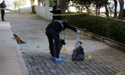 O sanık, duruşma öncesi hayatını kaybetti