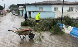 Aydın’da yaşanan fırtınanın faturası belli oldu