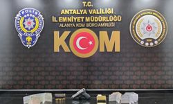 Gazipaşa’da suç örgütüne şafak operasyonu