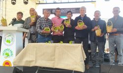 Gezende Erik Festivali'nin 15'incisi yapıldı