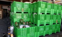 Halden 700 kilo karpuz çalındı o anlar kamerada