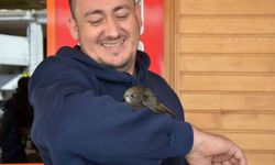 İş yerine giren ebabil kolunu bırakmadı, zor ayrıldı