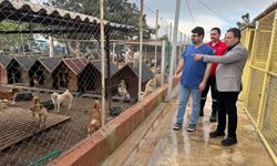 Kemer Belediyesi’nden ‘Satın alma’ çağrısı