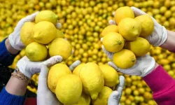 Ticaret Bakanlığı’ndan limon açıklaması… Limon ihracatı durduruldu