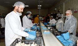Gazetecilerden mantarın başkentine ziyaret