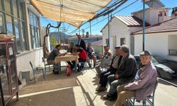 Menteşe Kuyucak ve Denizova Mahallelerinde arı konaklama noktaları belirlendi