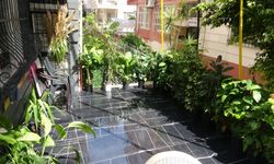 Mersin'de ilginç hırsızlık: Kadın beğendi erkek çaldı