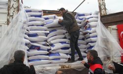 Üreticilere 318 tonluk sertifikalı nohut tohumu desteği