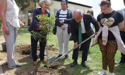 Otizmli gençler ve lise öğrencileri el ele fidan dikimi yaptı