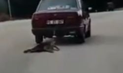 Otomobilin arkasına bağladığı köpeği sürükledi, gözaltına alındı