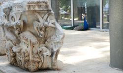Antalya Arkeoloji Müzesi'nin renkli nöbetçileri