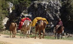 Sarıkeçili Yörükleri yaylalara göç yolculuğuna başladı