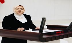 Milletvekilinden sert İklim Yasası çıkışı