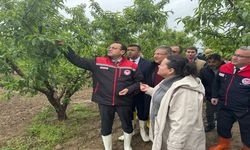 Tarım Bakanlığı’ndan don mağdurlarına destek